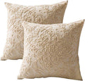 Beige Cotton Embroidered Pillow Covers Set of 2